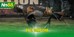 Đá Gà Campuchia